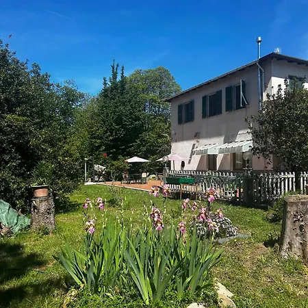 Le Camelie Nyaraló Polverara